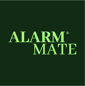 Organisation name logo